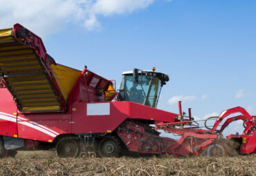 Potato Harvester. Agricultural Potato Combine Harvester at field. Seasonal harvesting of potatoes from field in farm.