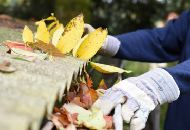 Ned Stevens Gutter Cleaning Data Breach Investigation