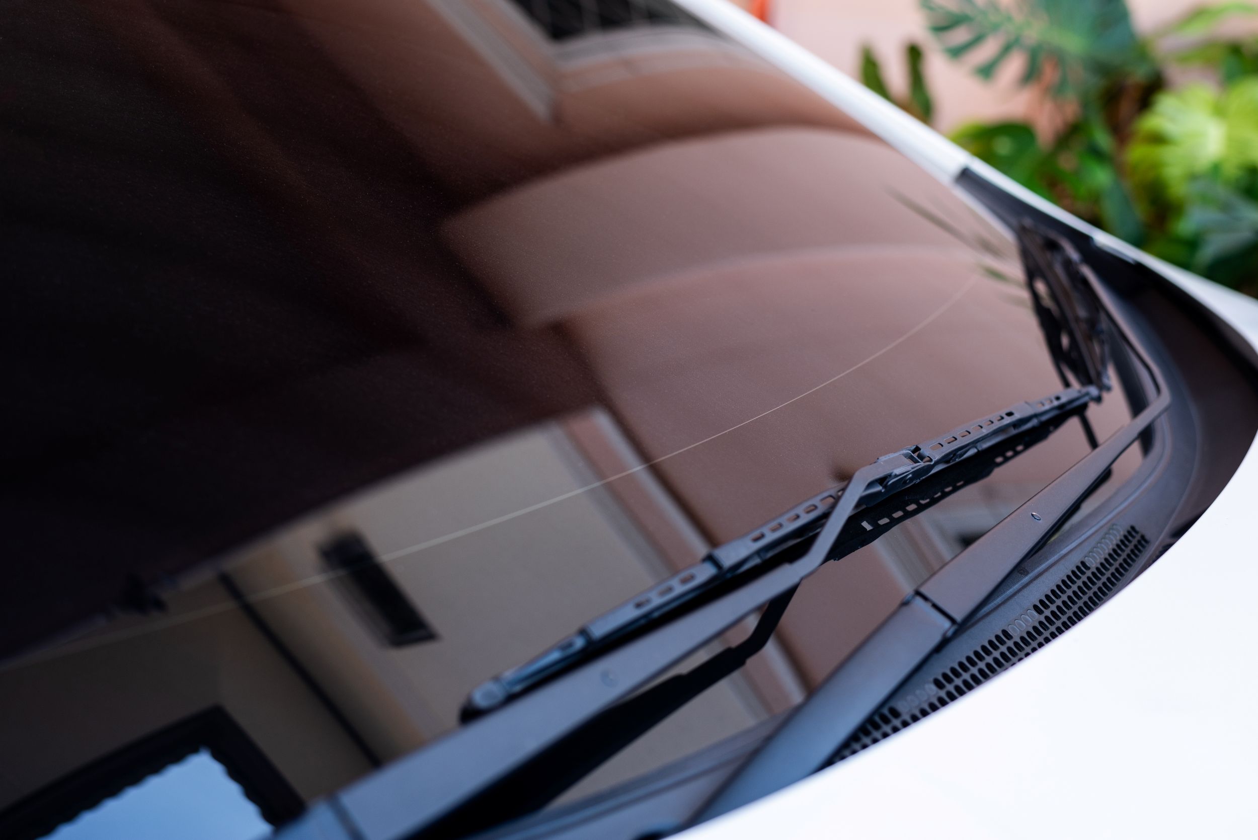 Trico Products (Brownsville) WARN Act Investigation